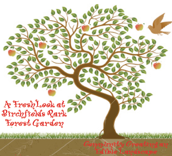 apple tree